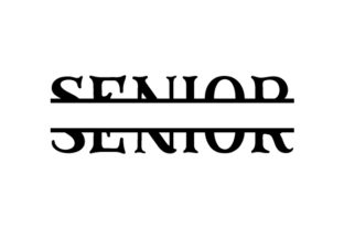 Seniorsplit: A Designer’s Honest Review for Real Embroidery Projects